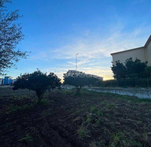 immagine annuncio 2 di 6