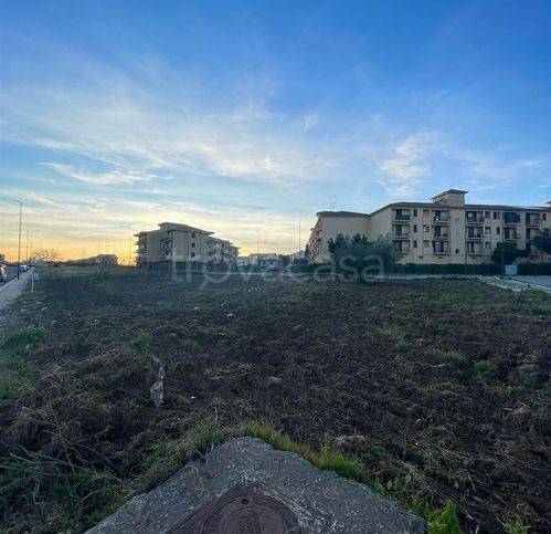 immagine annuncio 3 di 6