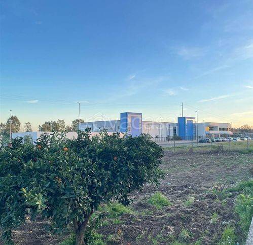 immagine annuncio 4 di 6