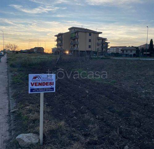 immagine annuncio 5 di 6