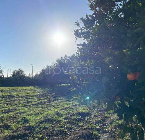 immagine annuncio 11 di 14