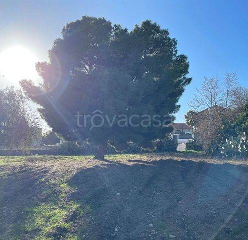 immagine annuncio 12 di 14