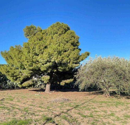 immagine annuncio 13 di 14