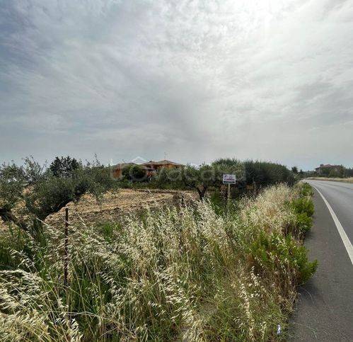 immagine annuncio 2 di 3