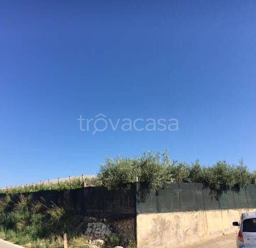 immagine annuncio 6 di 9