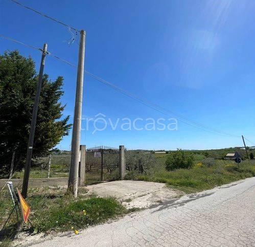 immagine annuncio 4 di 9