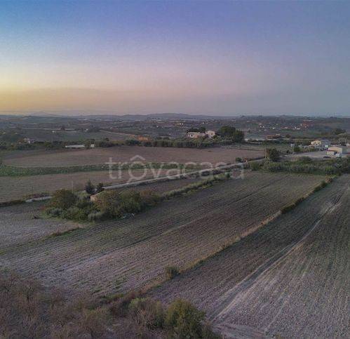 immagine annuncio 6 di 9