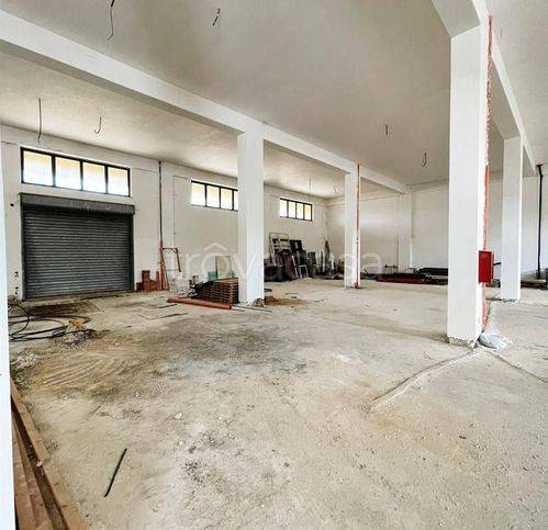 immagine annuncio 1 di 8