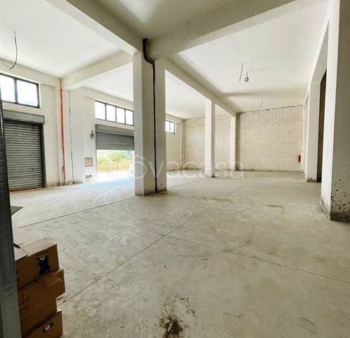 immagine annuncio 3 di 8