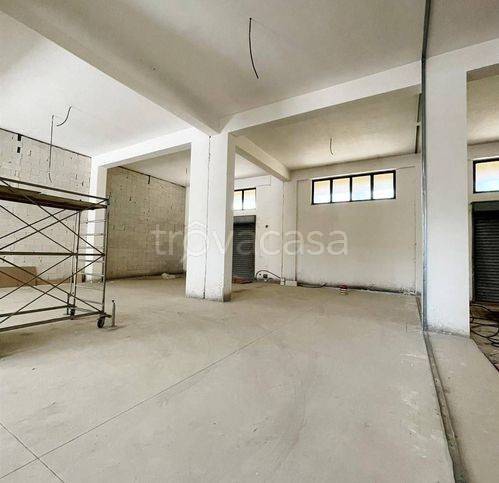 immagine annuncio 4 di 8