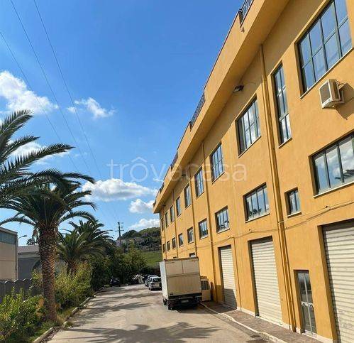 immagine annuncio 7 di 8