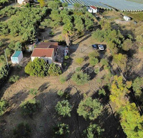 immagine annuncio 2 di 12