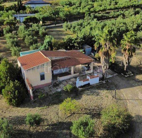 immagine annuncio 3 di 12