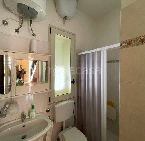 immagine annuncio 6 di 14