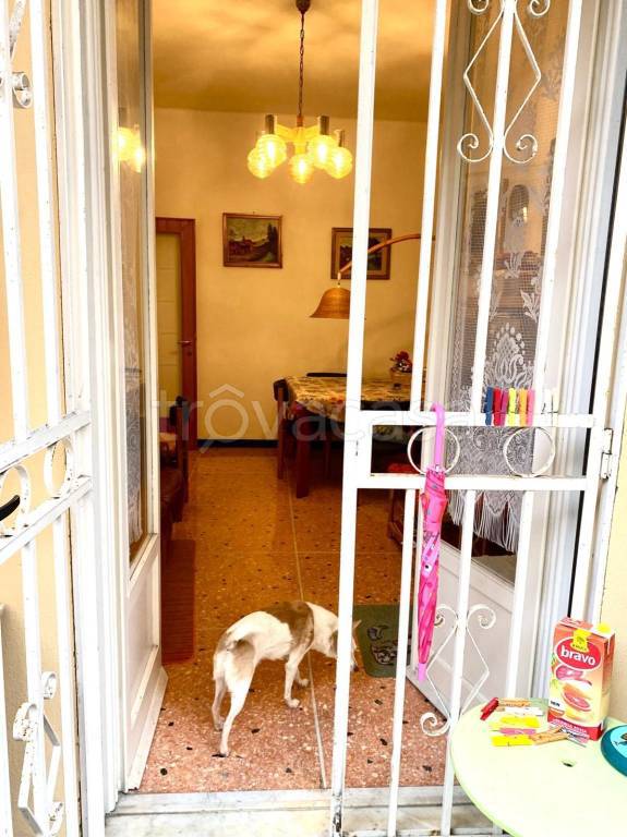 immagine annuncio 2 di 8