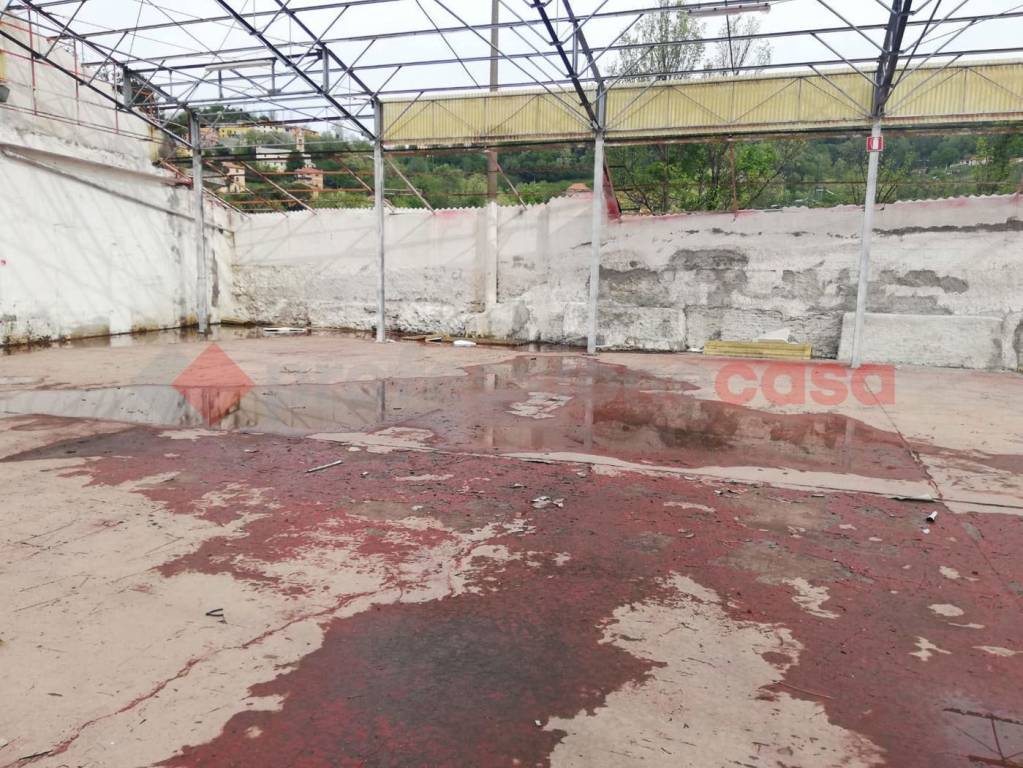 immagine annuncio 2 di 7