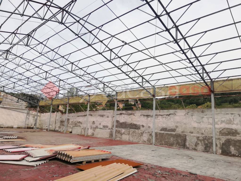 immagine annuncio 3 di 7