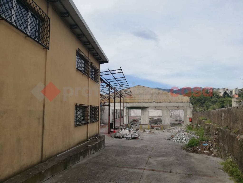 immagine annuncio 5 di 7