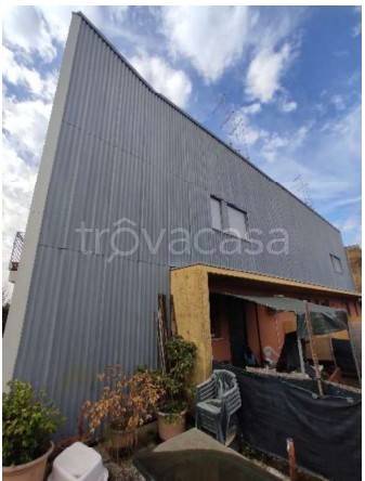 immagine annuncio 3 di 14