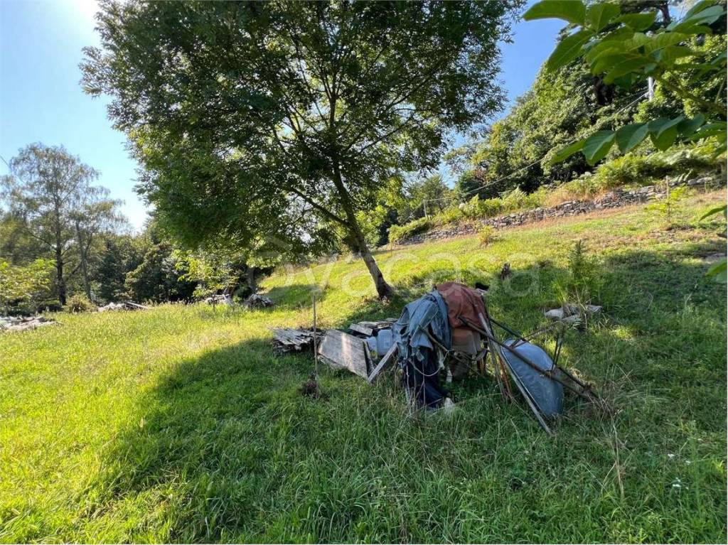 immagine annuncio 1 di 6