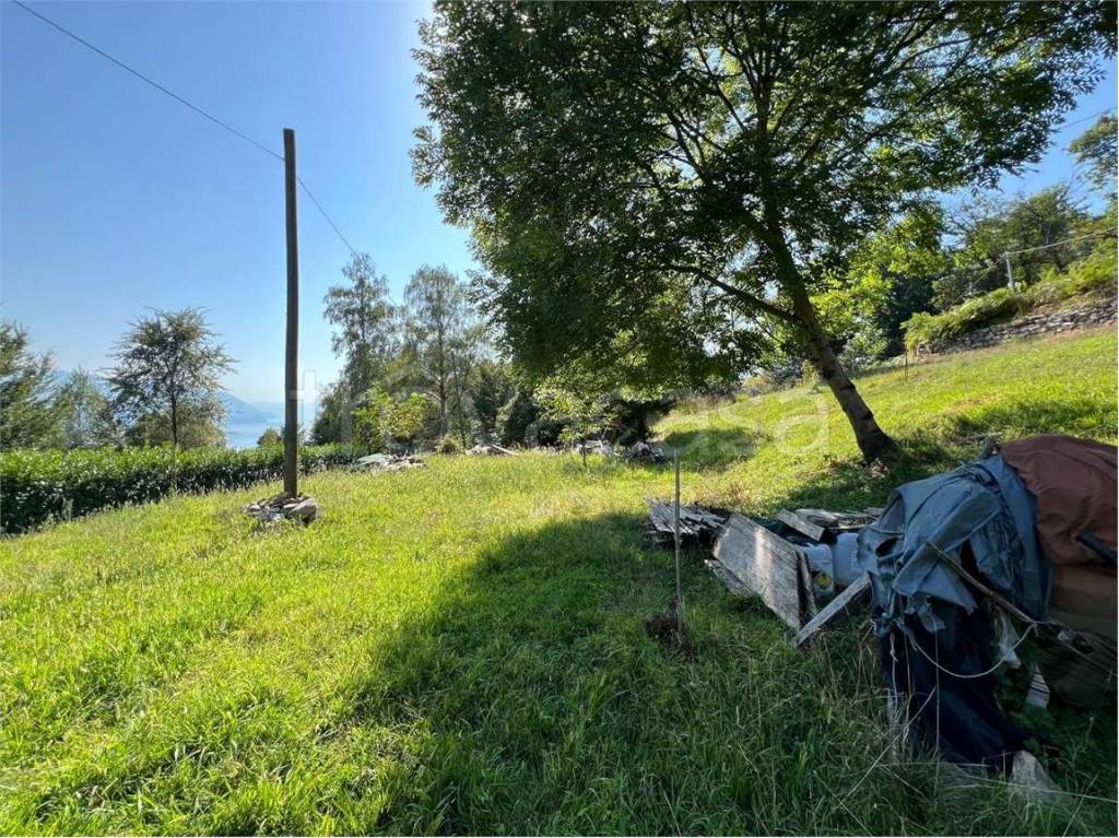 immagine annuncio 2 di 6