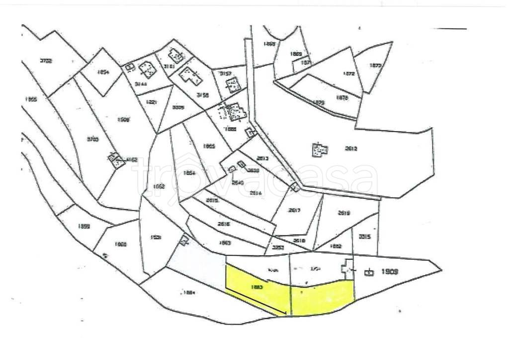 immagine annuncio 5 di 6