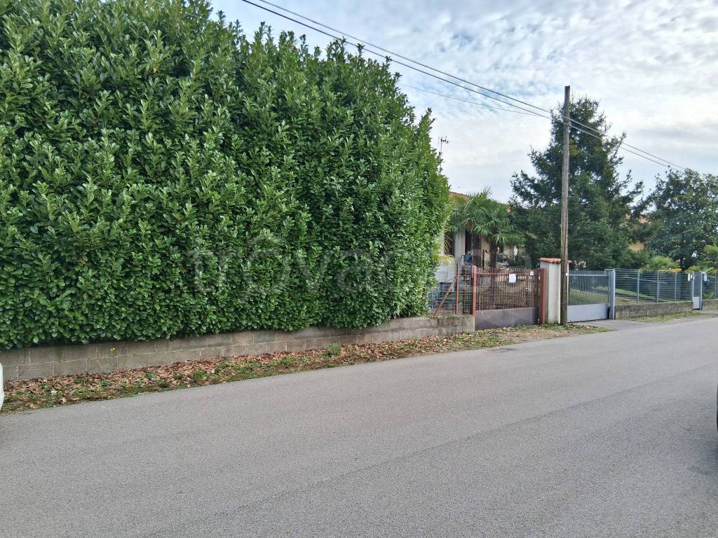 immagine annuncio 1 di 6