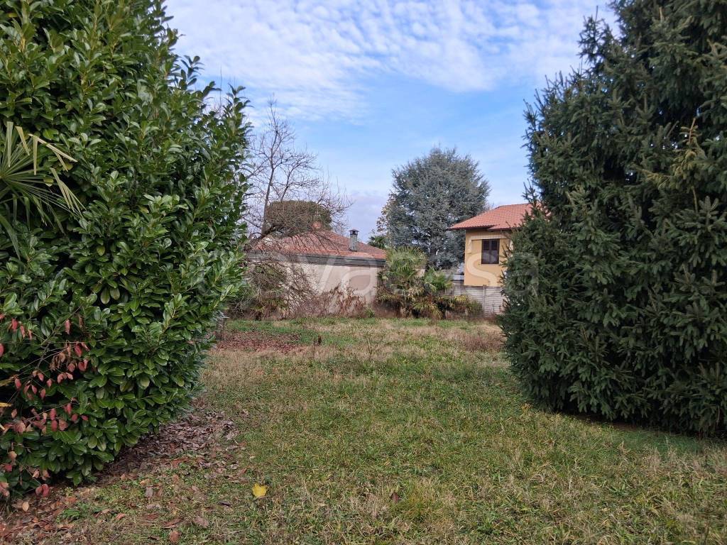 immagine annuncio 2 di 6