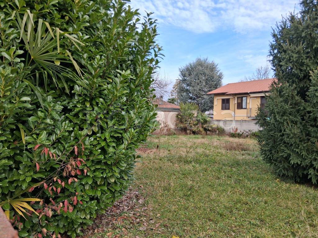 immagine annuncio 4 di 6