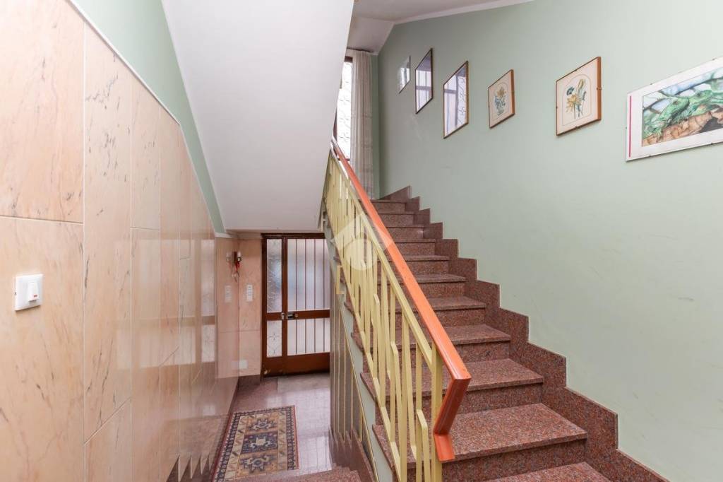 immagine annuncio 1 di 12