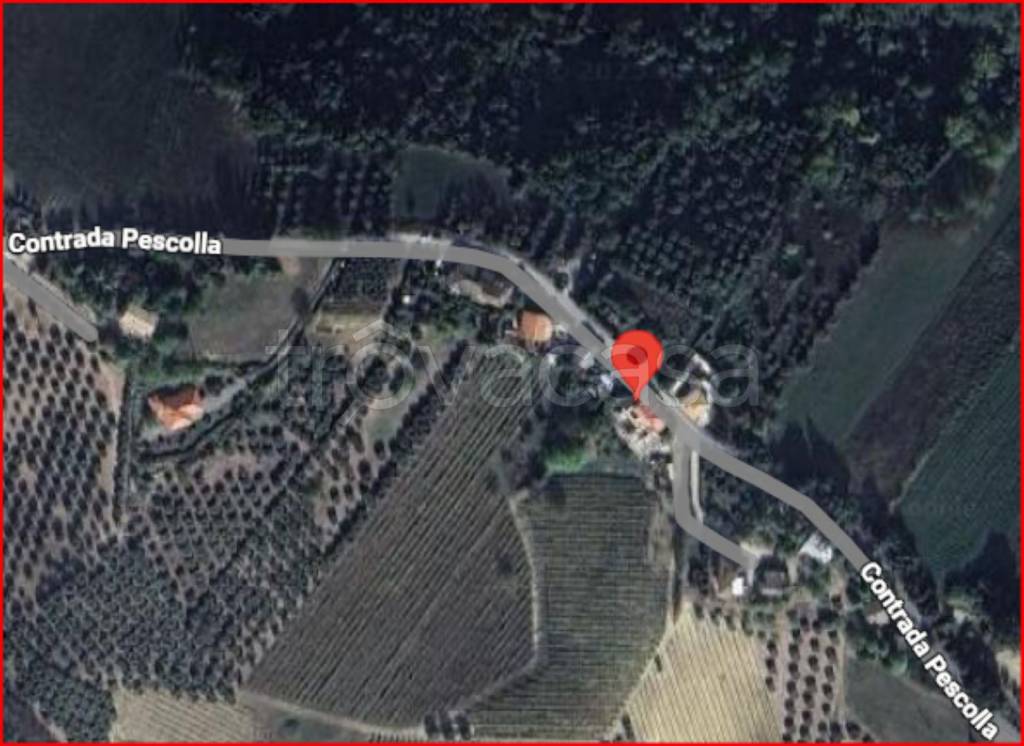 immagine annuncio 11 di 12