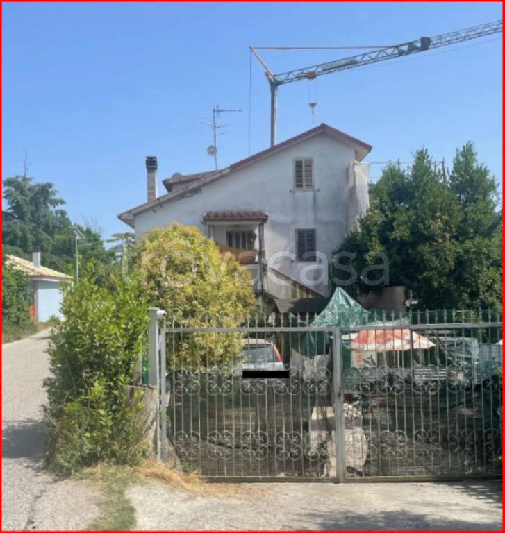 immagine annuncio 3 di 12