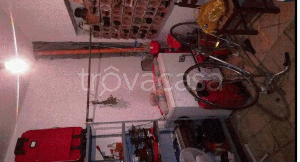 immagine annuncio 9 di 14