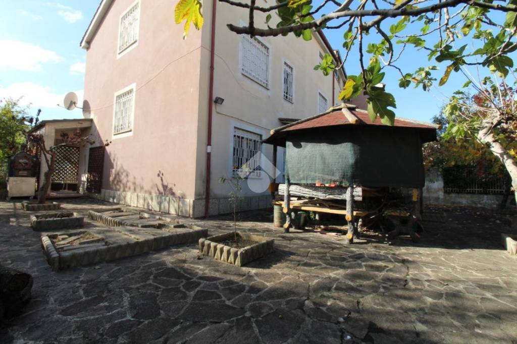 immagine annuncio 4 di 12