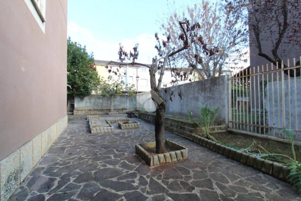 immagine annuncio 5 di 12