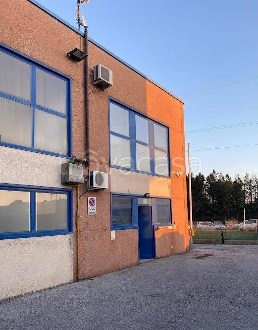 immagine annuncio 1 di 2