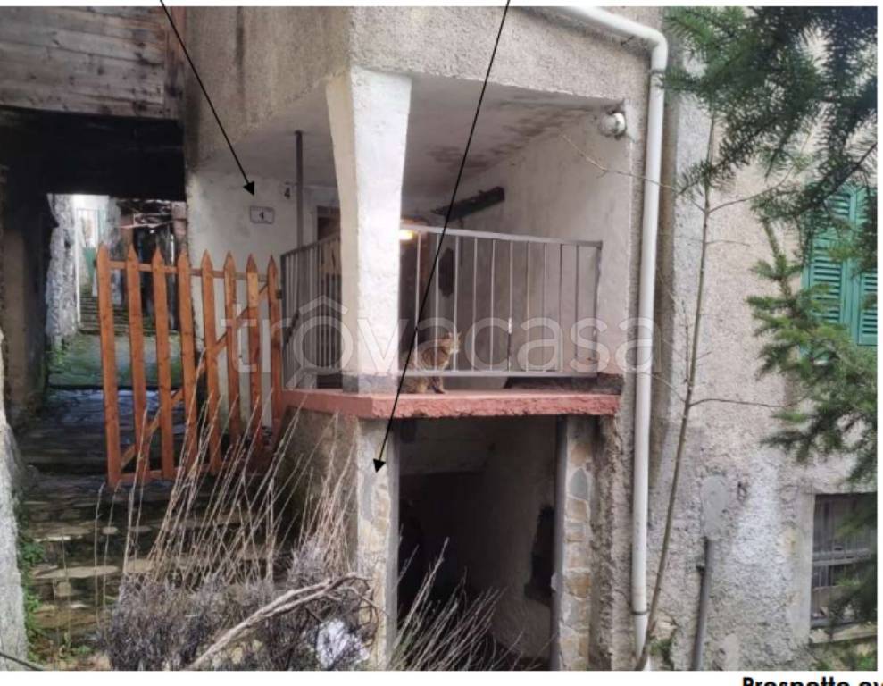 immagine annuncio 2 di 12