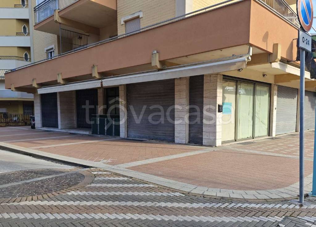 immagine annuncio 4 di 6