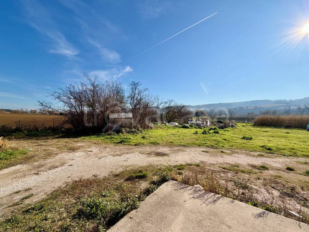 immagine annuncio 3 di 9