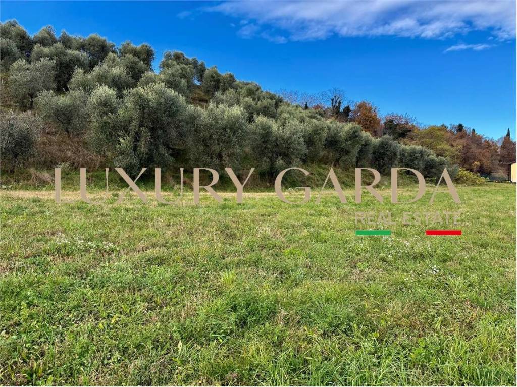 immagine annuncio 5 di 11