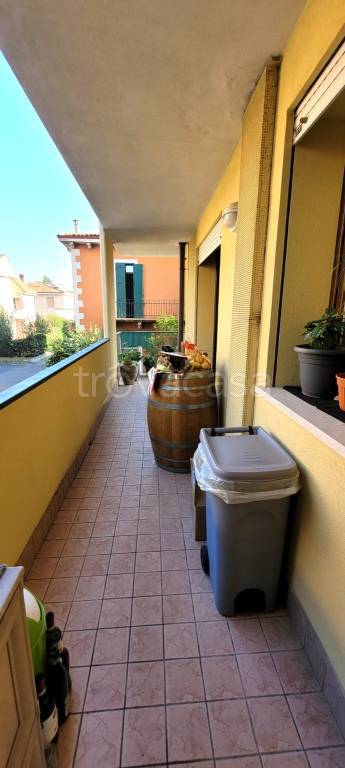 immagine annuncio 4 di 11