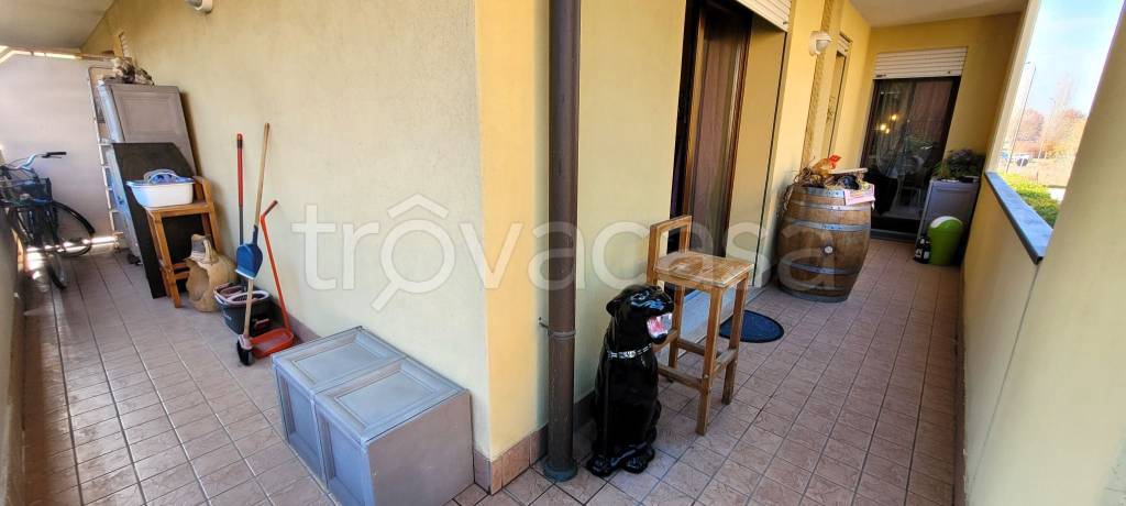 immagine annuncio 3 di 11