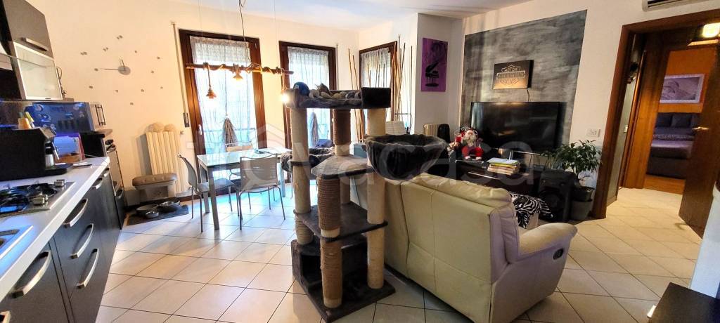 immagine annuncio 1 di 11