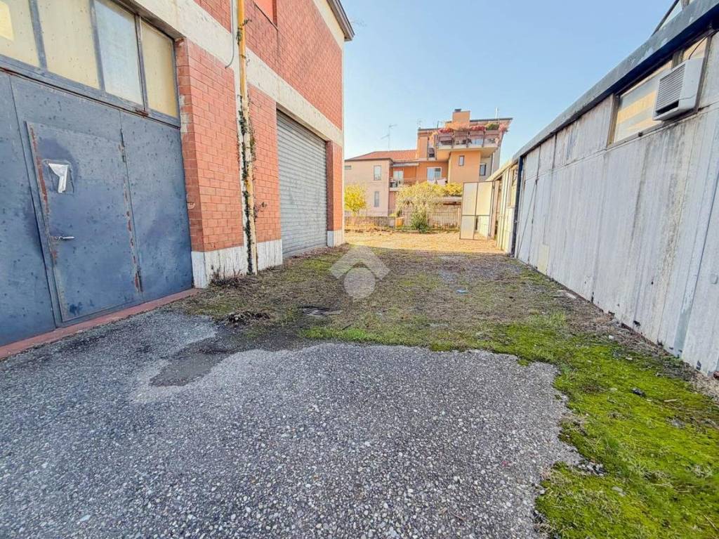 immagine annuncio 7 di 15