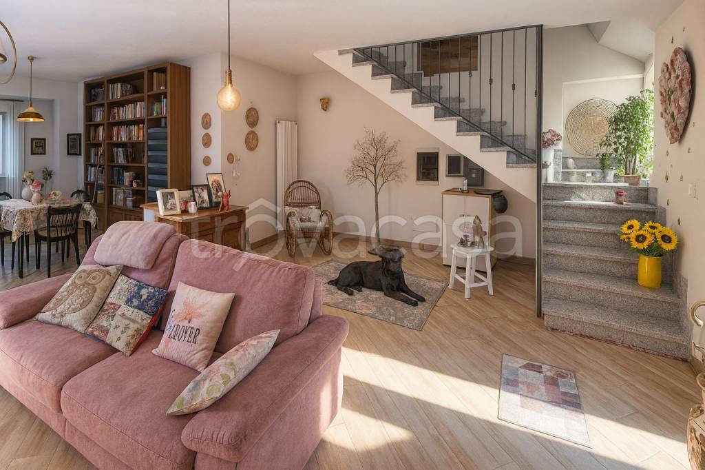 immagine annuncio 11 di 15