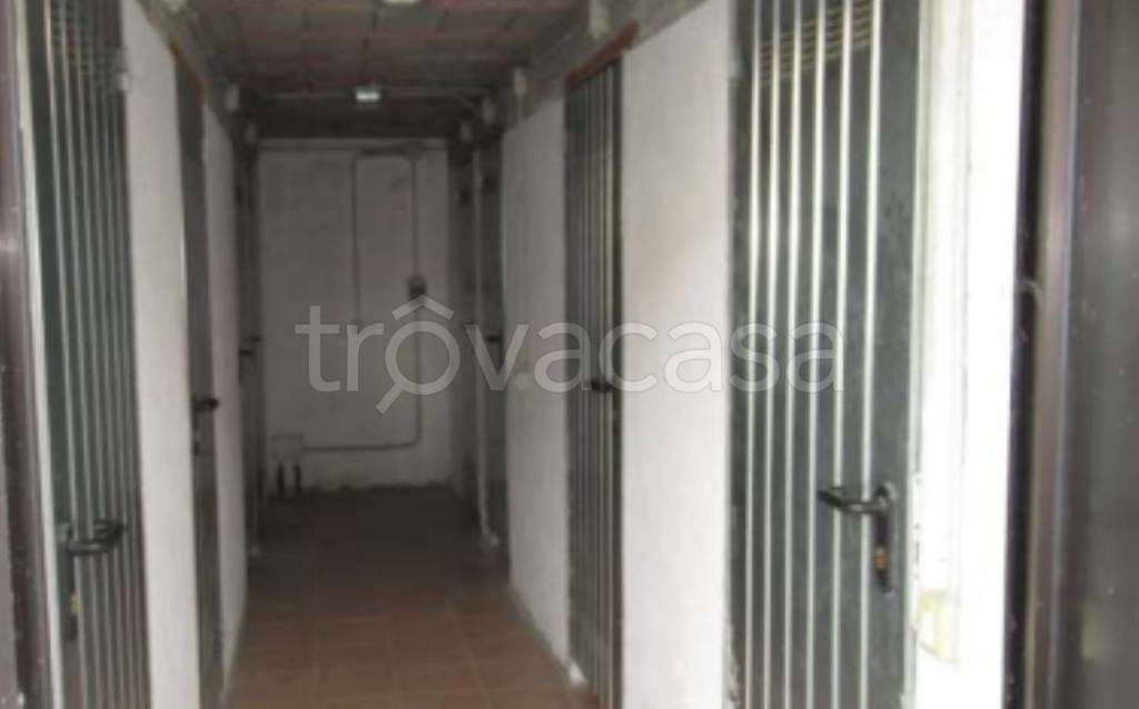 immagine annuncio 4 di 12