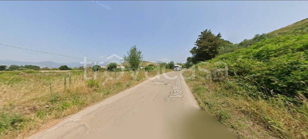 immagine annuncio 3 di 12