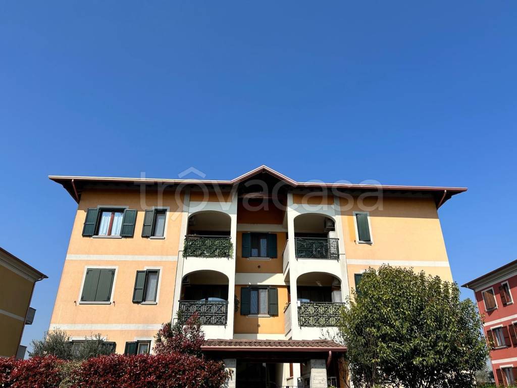 immagine annuncio 3 di 15