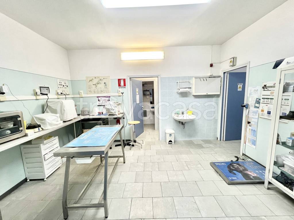 immagine annuncio 2 di 12