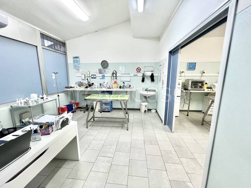 immagine annuncio 4 di 12